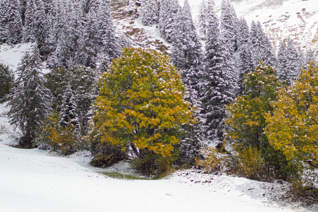 Herbst/Winter in der Schweiz